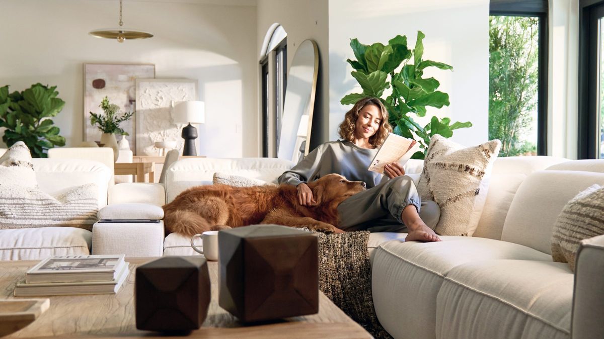 Lifestyle photography: a woman relaxing on a sofa with her dog